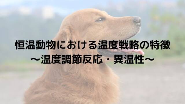 恒温動物における温度戦略の特徴　～温度調節反応・異温性～